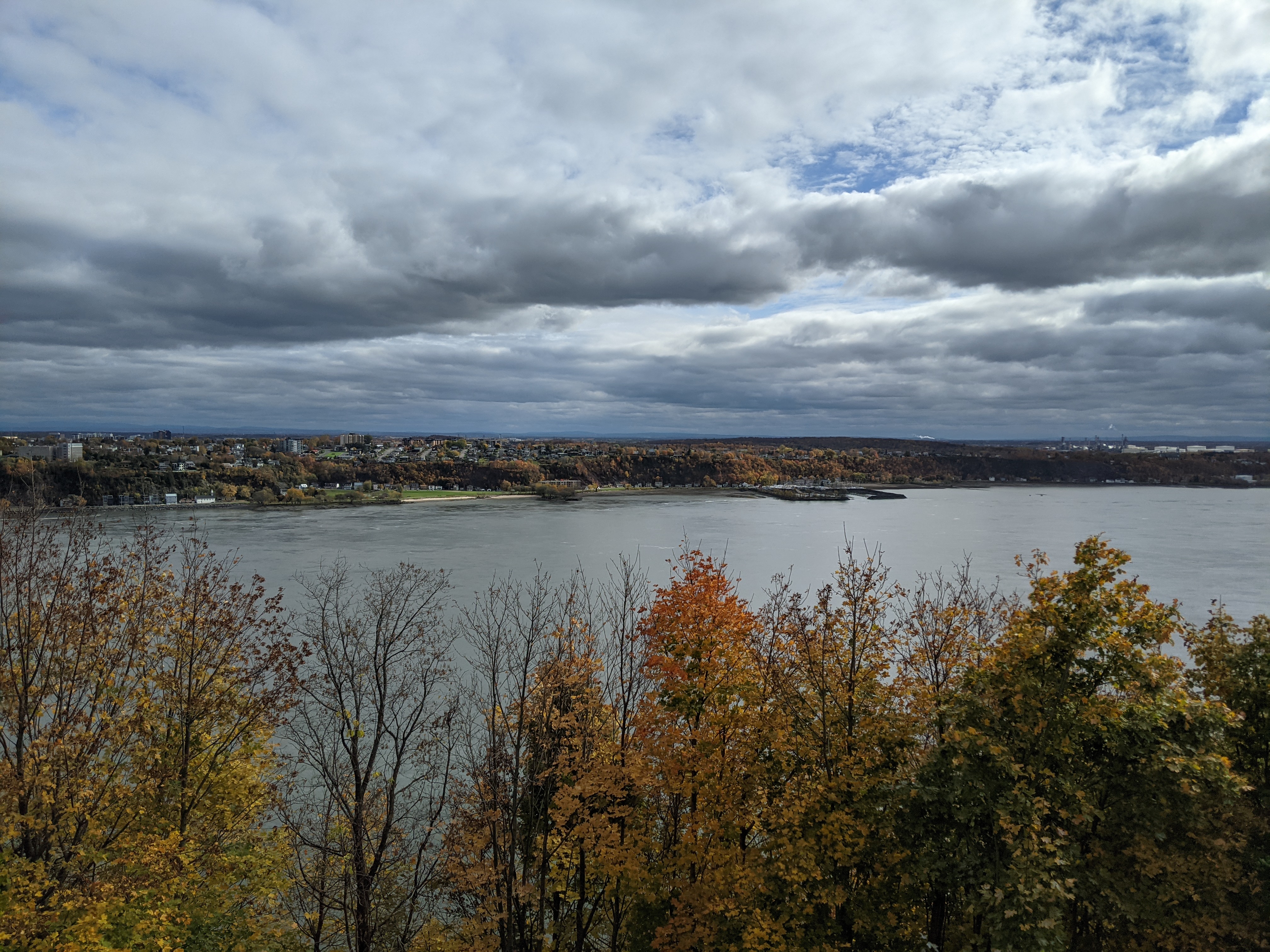 landscape portrait overlooking the fleuve St.Laurant and the opposing west side of Quebec City along with a line of fall leaves on trees in the forground