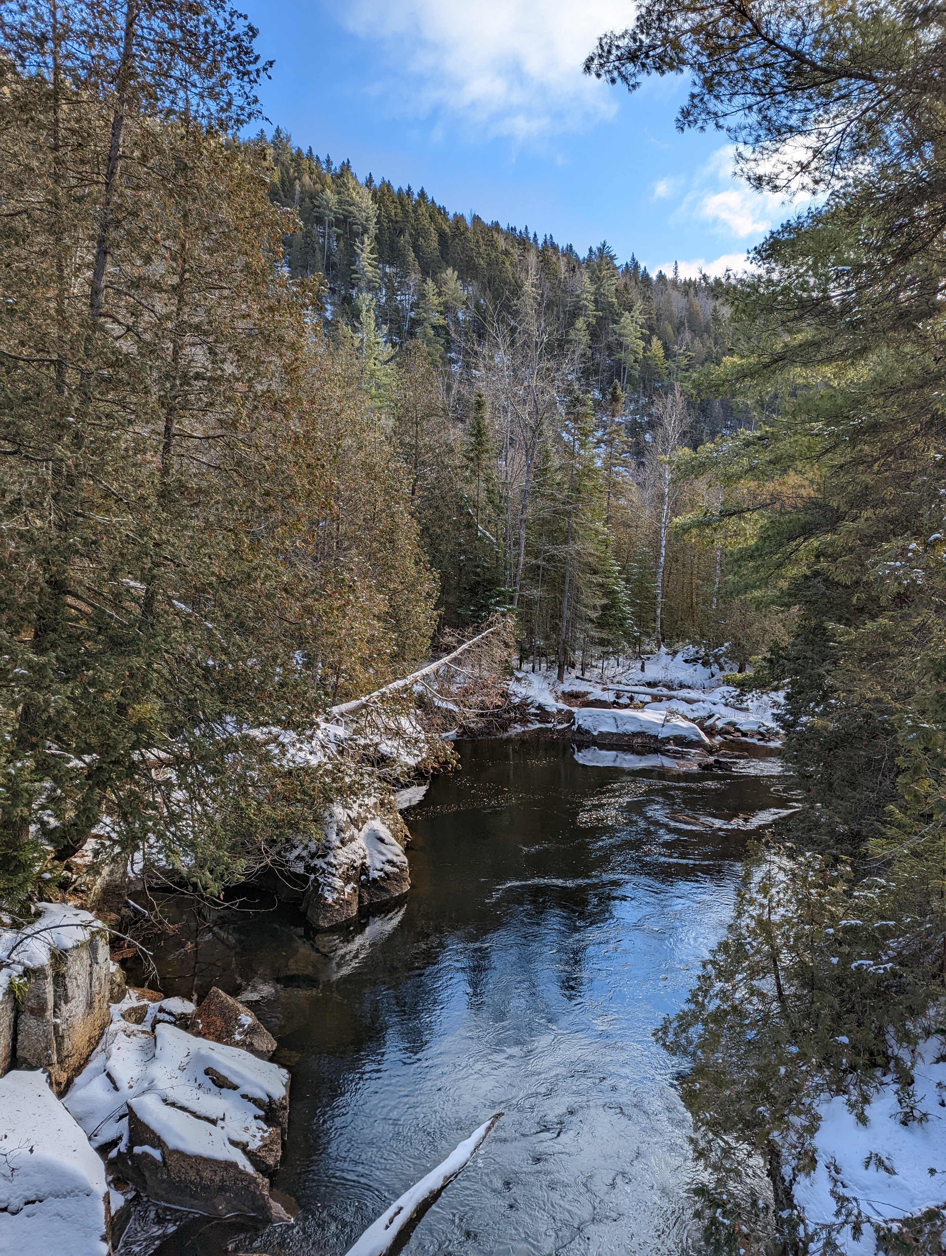 A lazy river slowly freezing on either sides with rocks along the edge and snow covered trees.