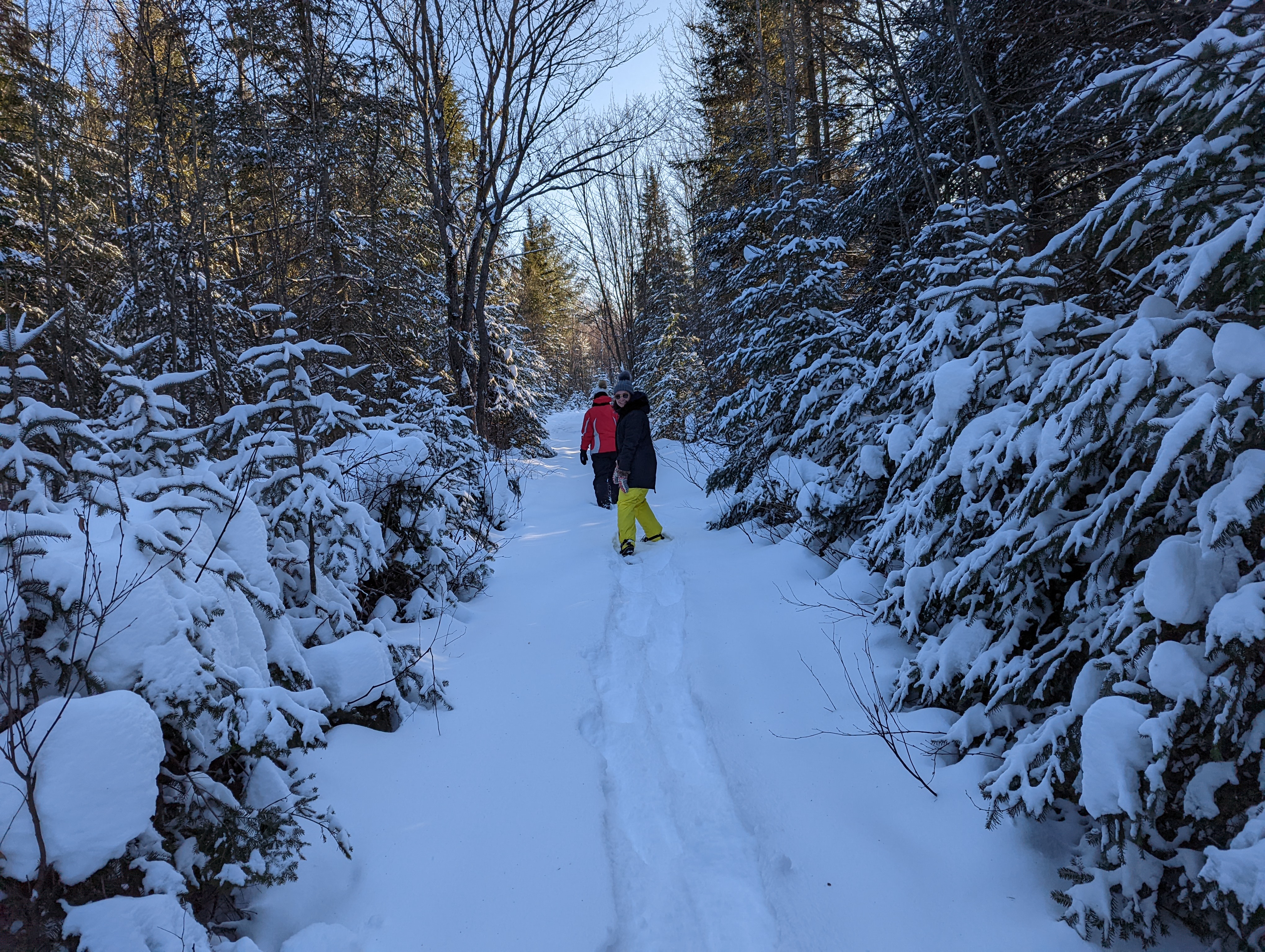 Two colorfully dressed snowshoers walking along a narrow clearing in a snow-covered forest