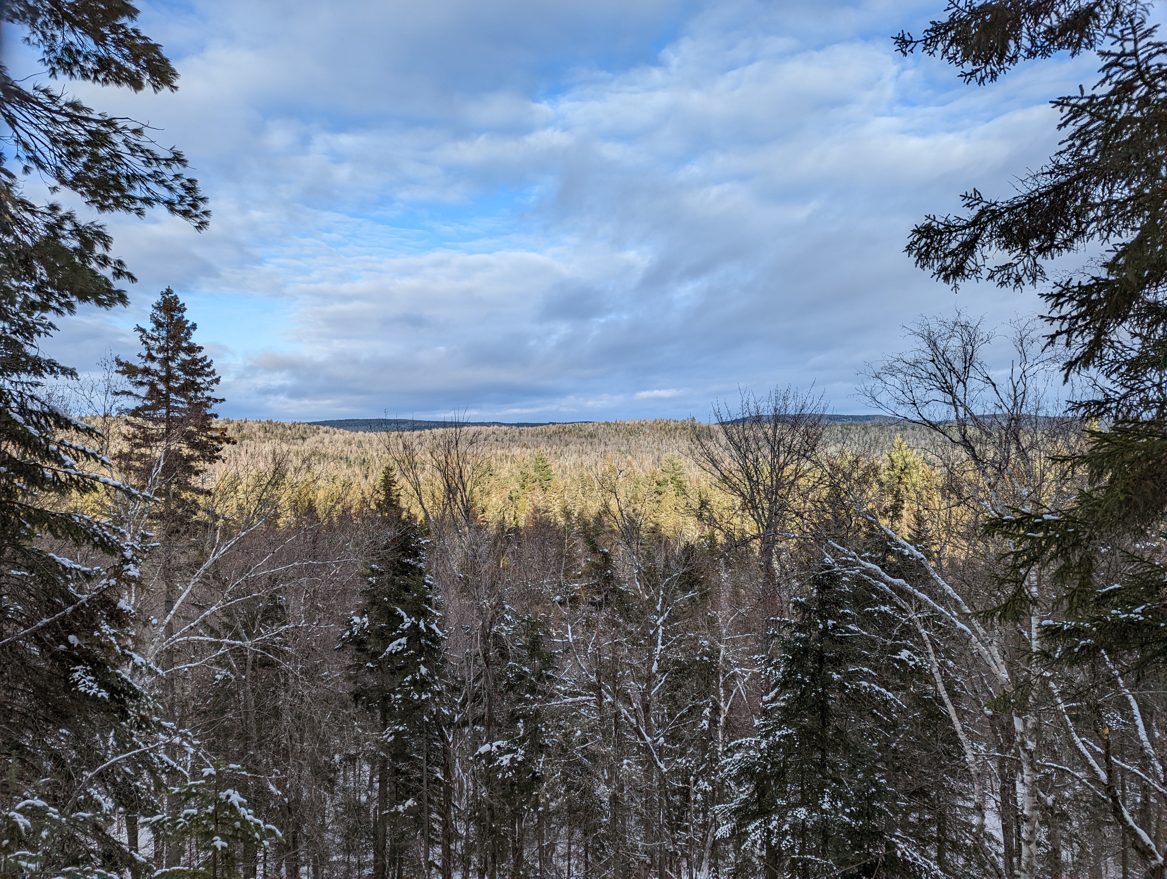 The view of a forest overlooking the snow-capped trees on a sunny but cloudy day with blue skies poking through